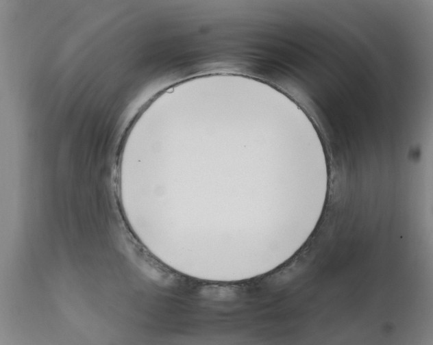 X0000111531051200908251157