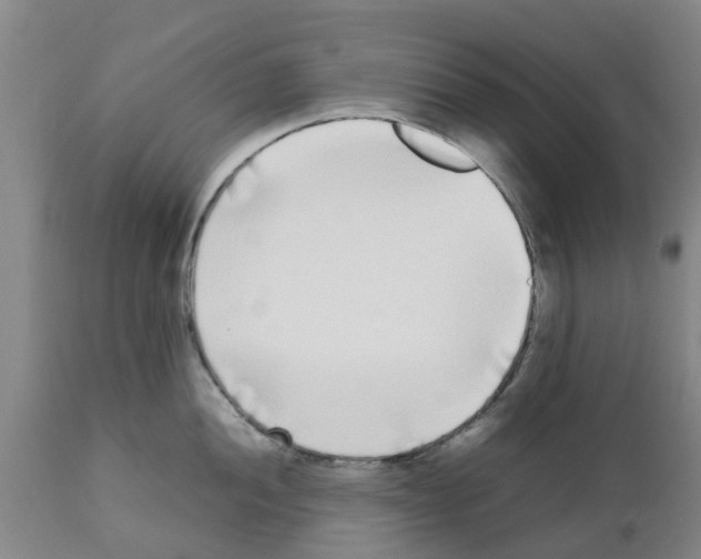 X0000111531052200908251157