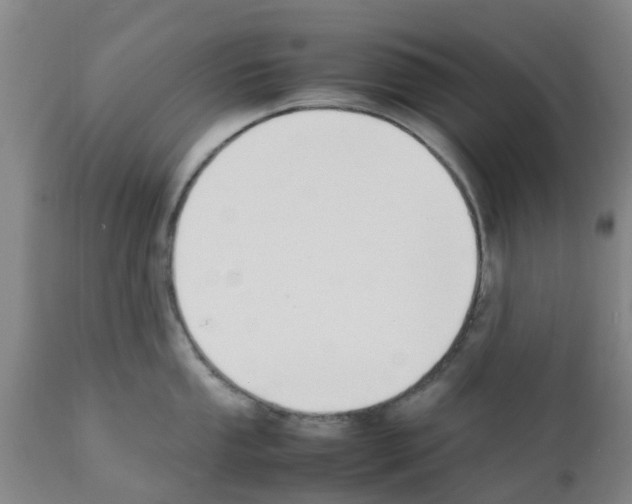 X0000111531053200908251157