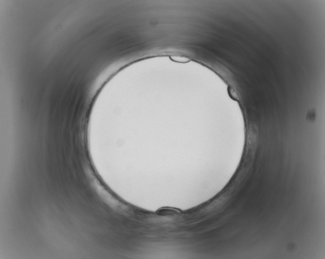 X0000111531054200908251157