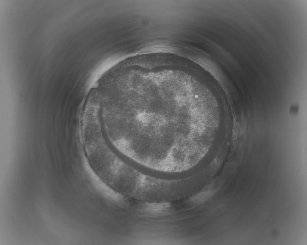 X0000111531055200908251157