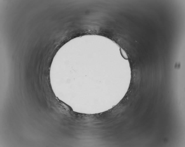 X0000111531057200908251156