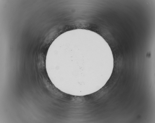 X0000111531058200908251156