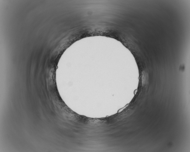 X0000111531059200908251156