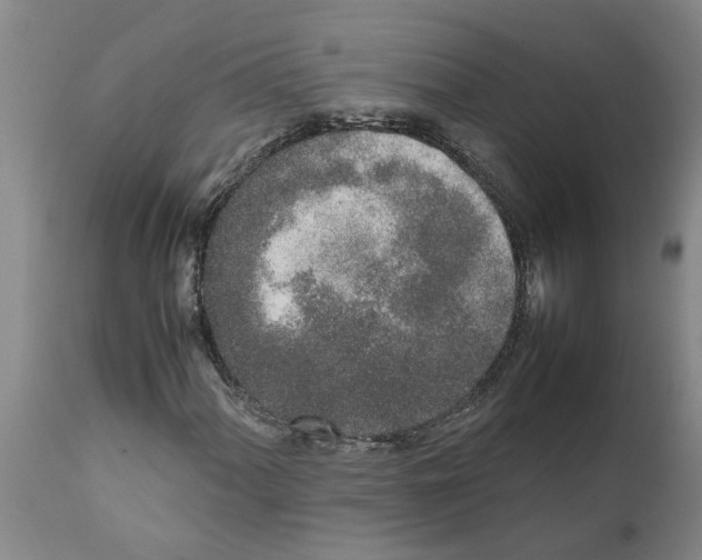 X0000111531060200908251156