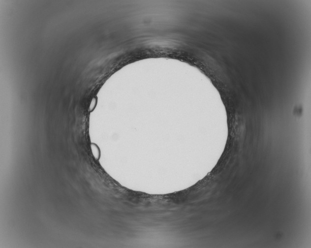 X0000111531061200908251156