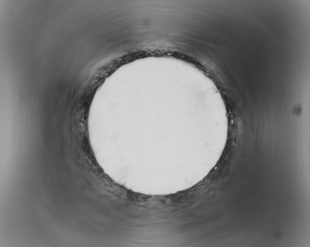 X0000111531063200908251156