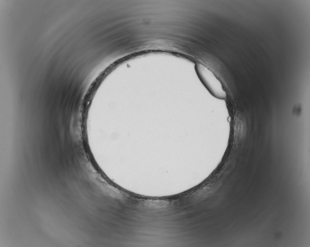 X0000111531068200908251156