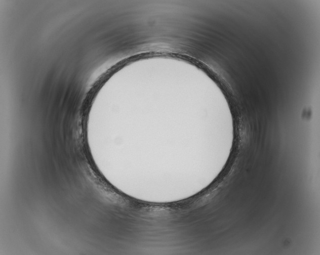 X0000111531070200908251156