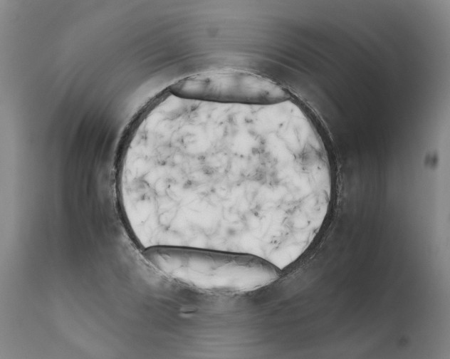 X0000111531072200908251156