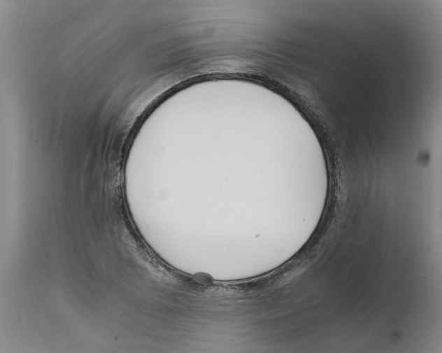 X0000111531073200908251156