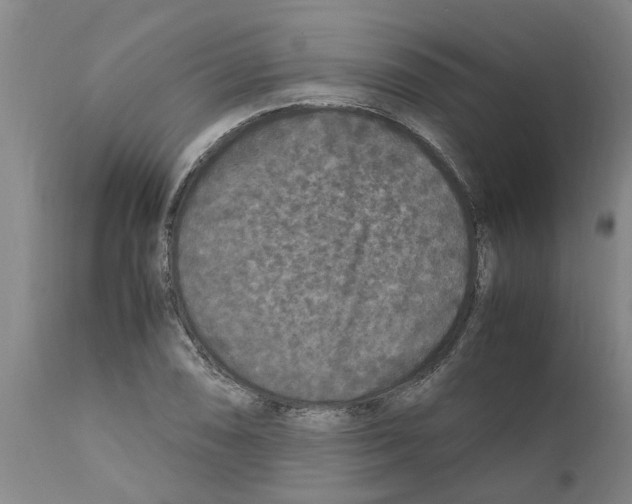 X0000111531074200908251156