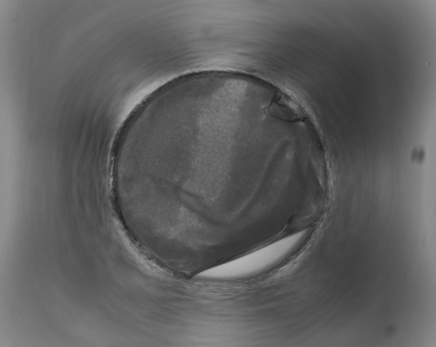 X0000111531077200908251156