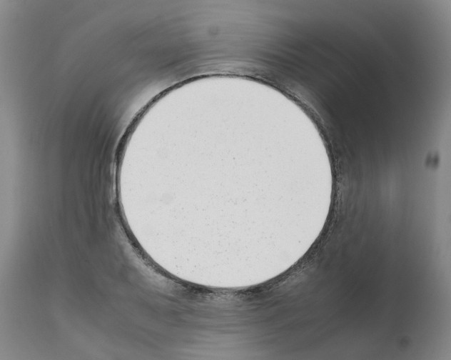 X0000111531079200908251156