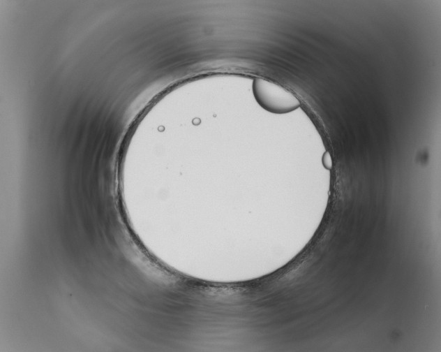 X0000111531082200908251156