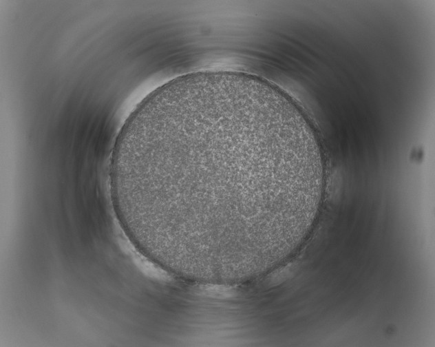 X0000111531086200908251156