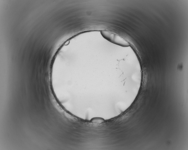 X0000111531088200908251156