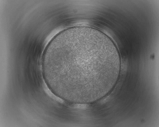 X0000111531090200908251156