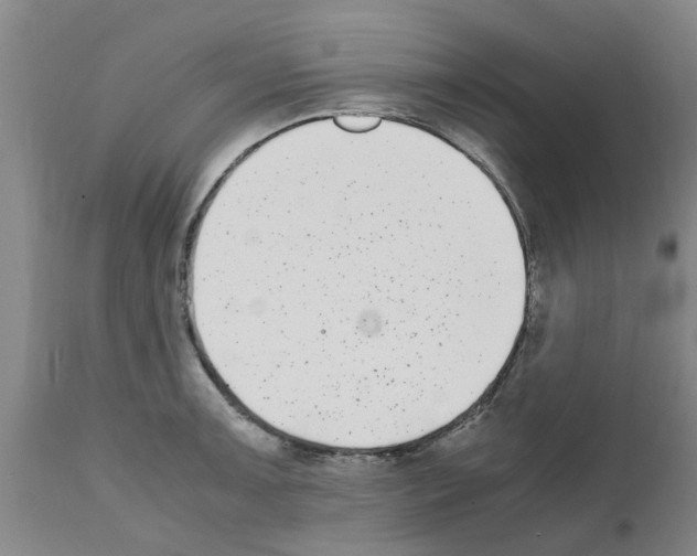 X0000111531091200908251156