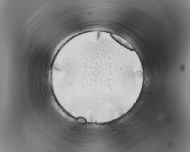 X0000111531092200908251156