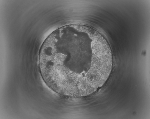 X0000111531095200908251156