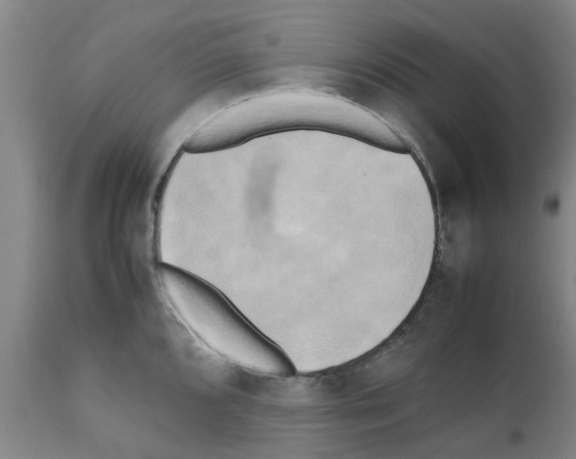 X0000111531096200908251156