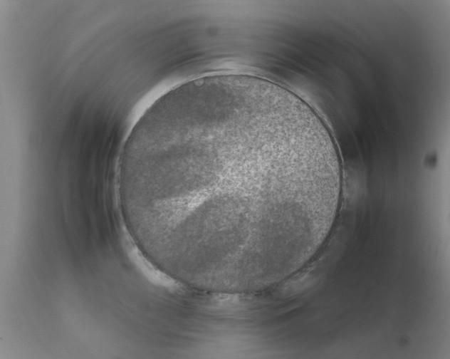 X0000111531098200908251156