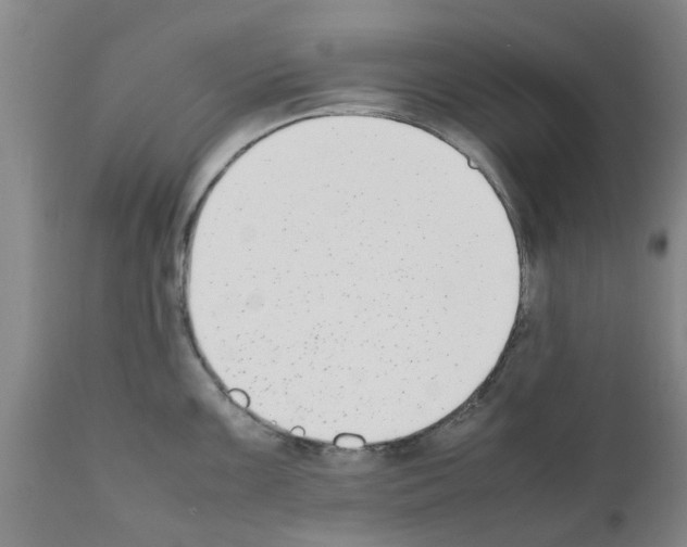 X0000111531099200908251156