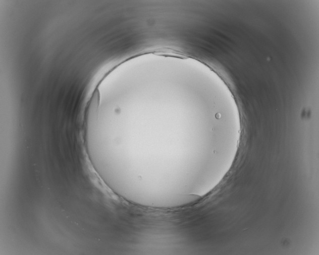 X0000111531104200908251156