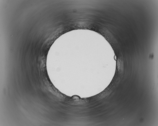 X0000111531107200908251155