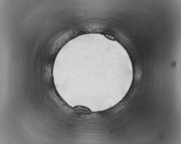 X0000111531108200908251155