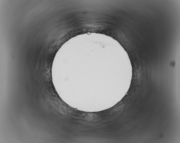 X0000111531109200908251155