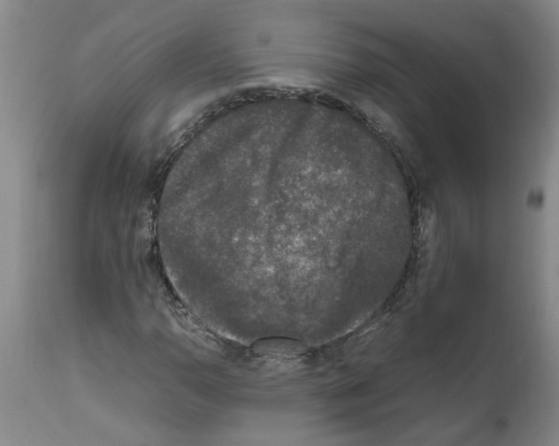 X0000111531110200908251155