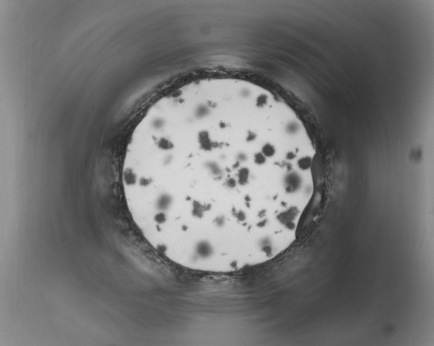 X0000111531112200908251155