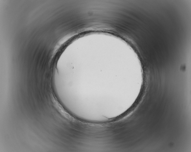 X0000111531114200908251155