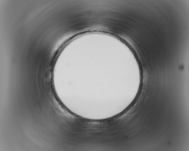 X0000111531115200908251155