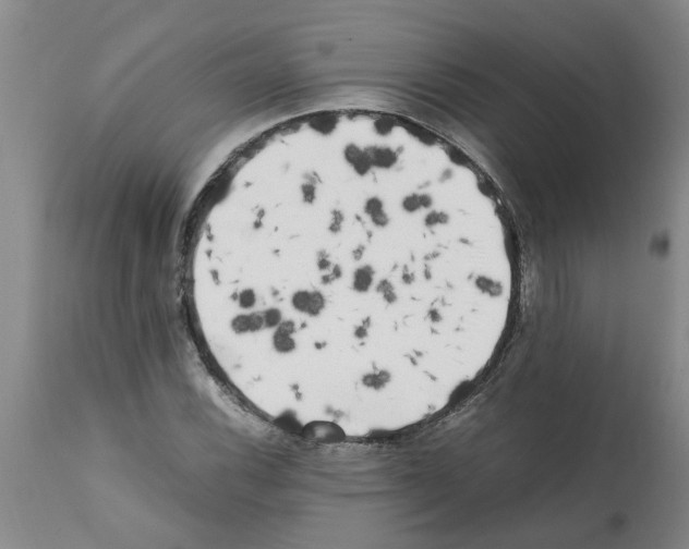 X0000111531116200908251155