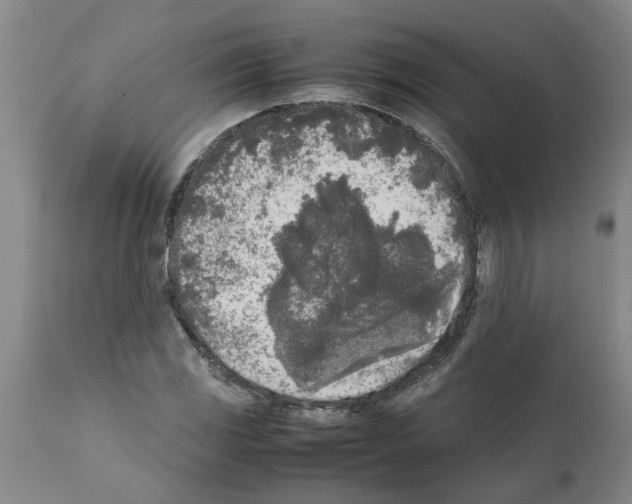 X0000111531117200908251155