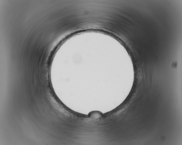 X0000111531118200908251155