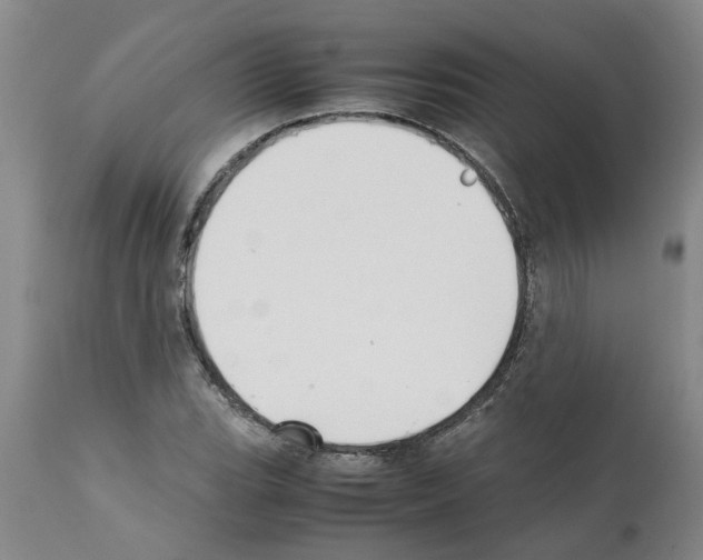 X0000111531119200908251155