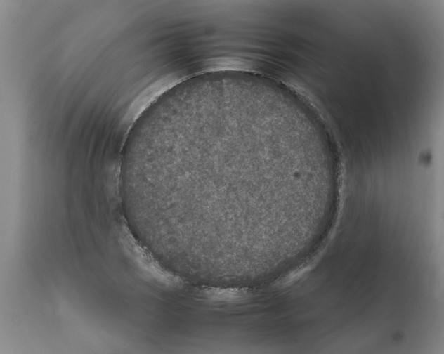 X0000111531121200908251155