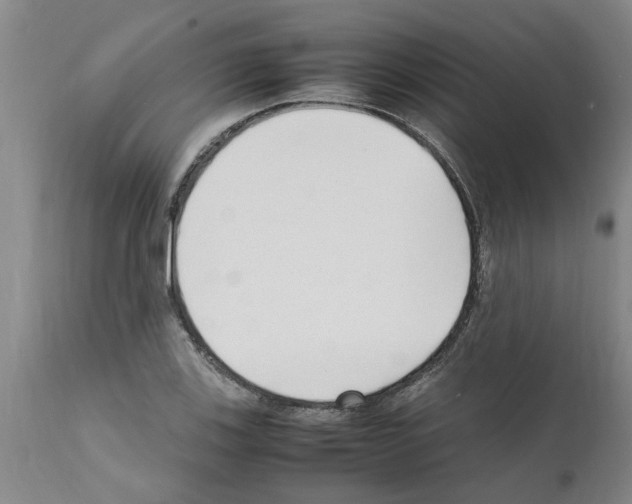 X0000111531123200908251155