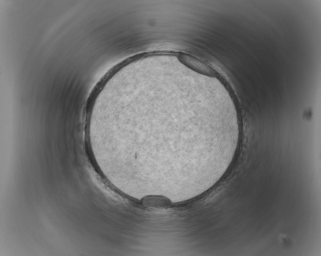 X0000111531124200908251155