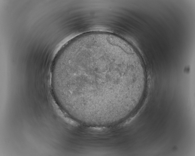 X0000111531125200908251155