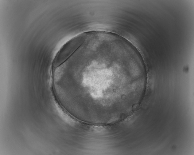 X0000111531128200908251156