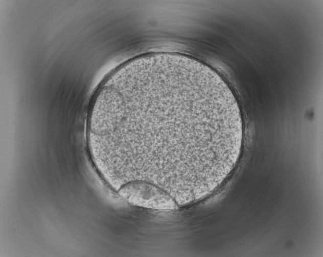 X0000111531130200908251156