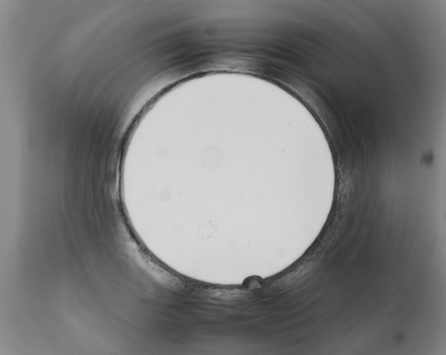 X0000111531131200908251156