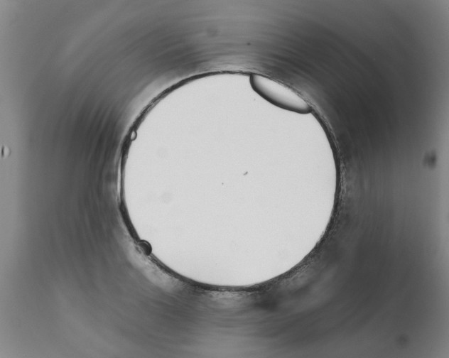 X0000111531132200908251156