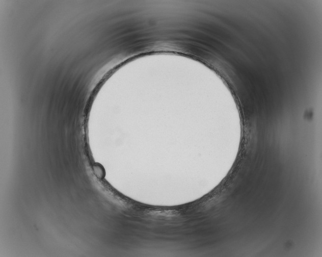 X0000111531133200908251156