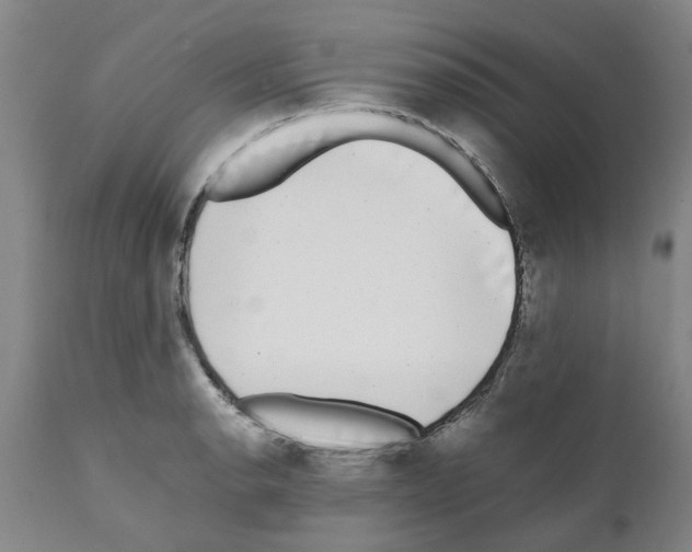 X0000111531134200908251156